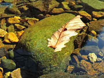 香港免費(fèi)六會(huì)彩開(kāi)獎(jiǎng)結(jié)果,深入挖掘解釋說(shuō)明_觸控版18.426