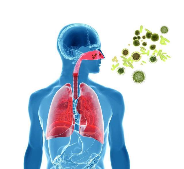 新型病毒主要癥狀探究，探索病毒影響的主要表現(xiàn)