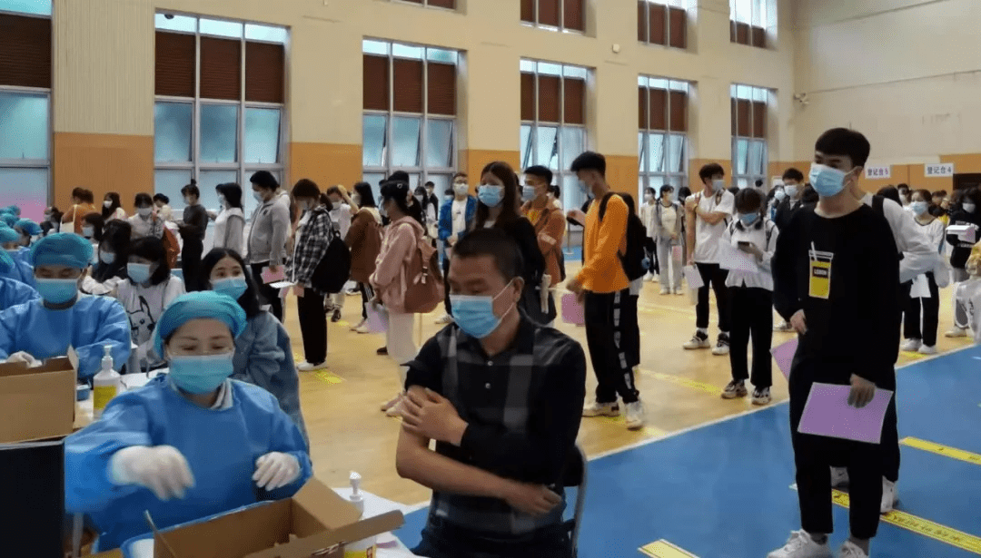 日本失聯(lián)女孩最新消息揭秘，探索背后故事與尋找線索（2025年更新）